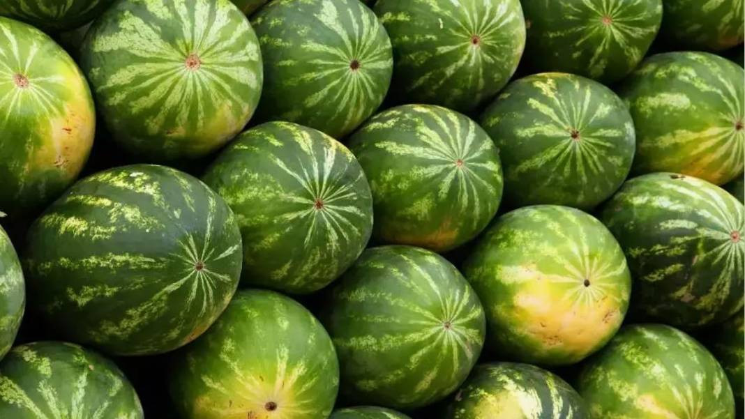 Usta manavlar biliyor sadece bu sırları! Karpuz seçerken yapın asla kelek çıkmıyor - Resim: 44